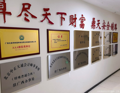 廣西北部灣財(cái)富財(cái)稅管理咨詢集團(tuán)