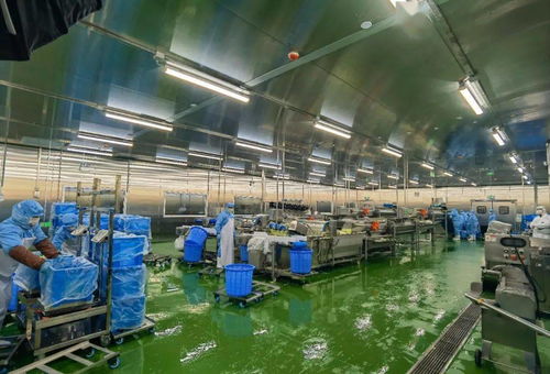 配送服務(wù)背后的質(zhì)量堅守 七道檢測下的2.6萬名師生體驗